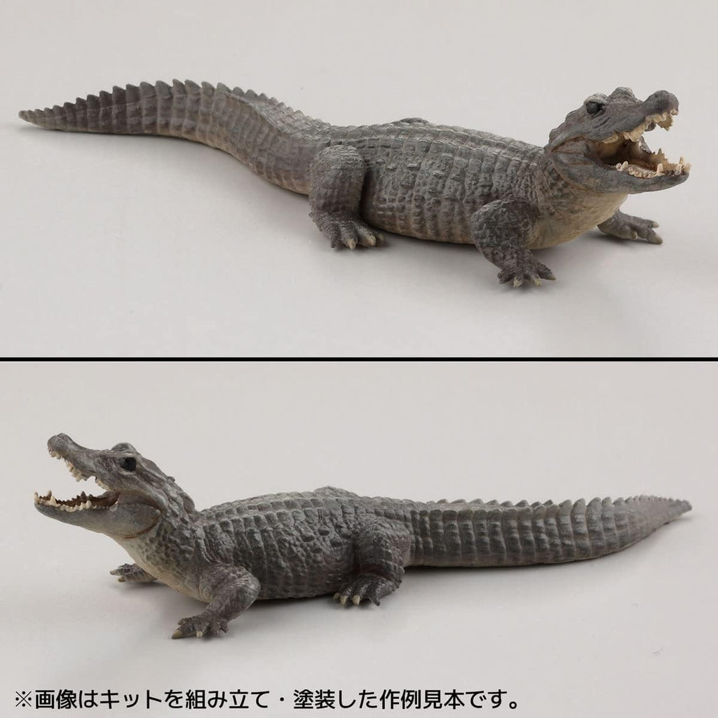 Kaiyodo Art Plastic ART PLA Zookeeper and White Rhino Set Unpainted New