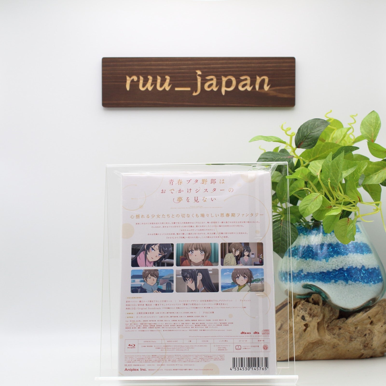 Rascal Does Not Dream of a Sister Venturing Out Blu-ray Soundtrack CD Japan new