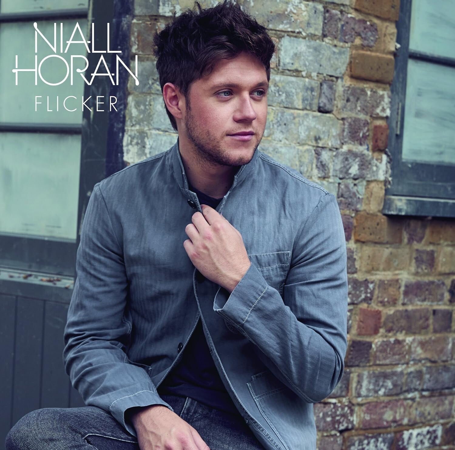 Niall Horan Flicker (Deluxe Edition) (Limited Edition) CD DVD Japan Music CD New