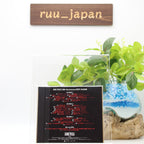 ONE PIECE 20th Anniversary BEST ALBUM Limited Deluxe Greatest Hits CD+BD+Booklet