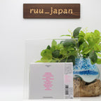 New Pet Shop Boys Super (limited edition) Japan Music CD