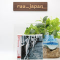 New Eddie Higgins Trio Jazz Piano CD Again Paper Sleeve Japan OBI