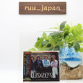 The Doors Winterland 1967 Japan Music CD NEW