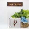 Polyphia Muse CD w/ Guitar Chord Scores XSCP-7 4580128892108 new