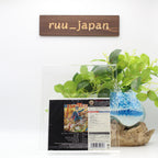 Elton John SHM-CD Captain Fantastic And The Brown Dirt Cowboy Japan NEW