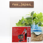 New Tatsuro Yamashita-Rarities-CD Japan