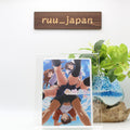 Overflow OA On Air Edition DVD Romantic Comedy Animation Japan New