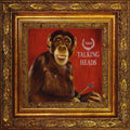 New talking heads naked Japan Music CD