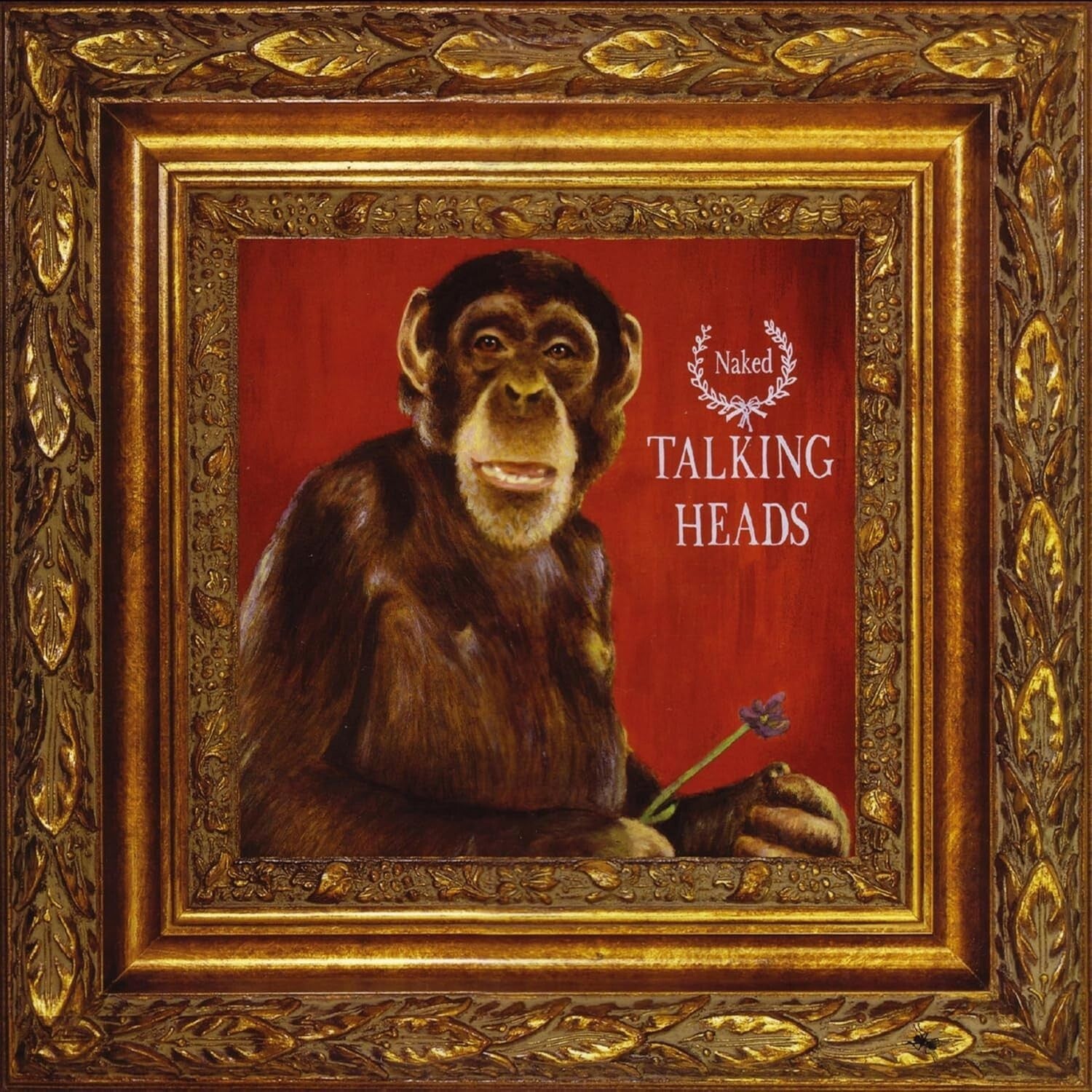New talking heads naked Japan Music CD