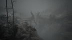 New Silent Hill f PlayStation 5) [Multi-Language] PS5 Audio English