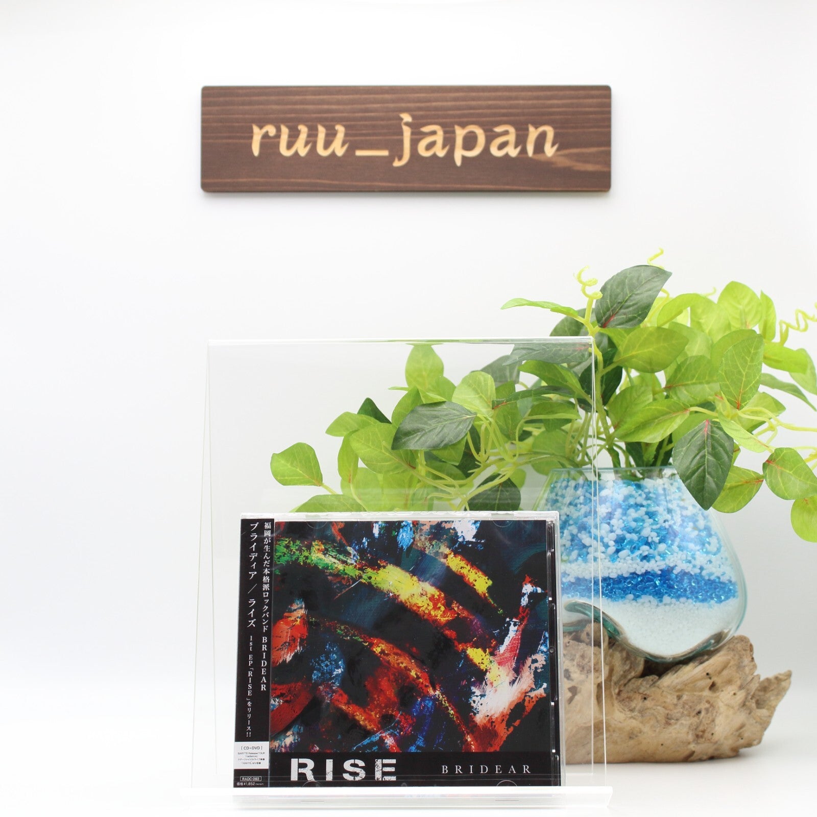 BRIDEAR Rise CD + DVD JAPAN Imperial Circus Dead Decadence Japan Girls H.Metal !