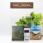 New MR. BIG TEN JAPAN EDITION MQA-CD  Bonus Track