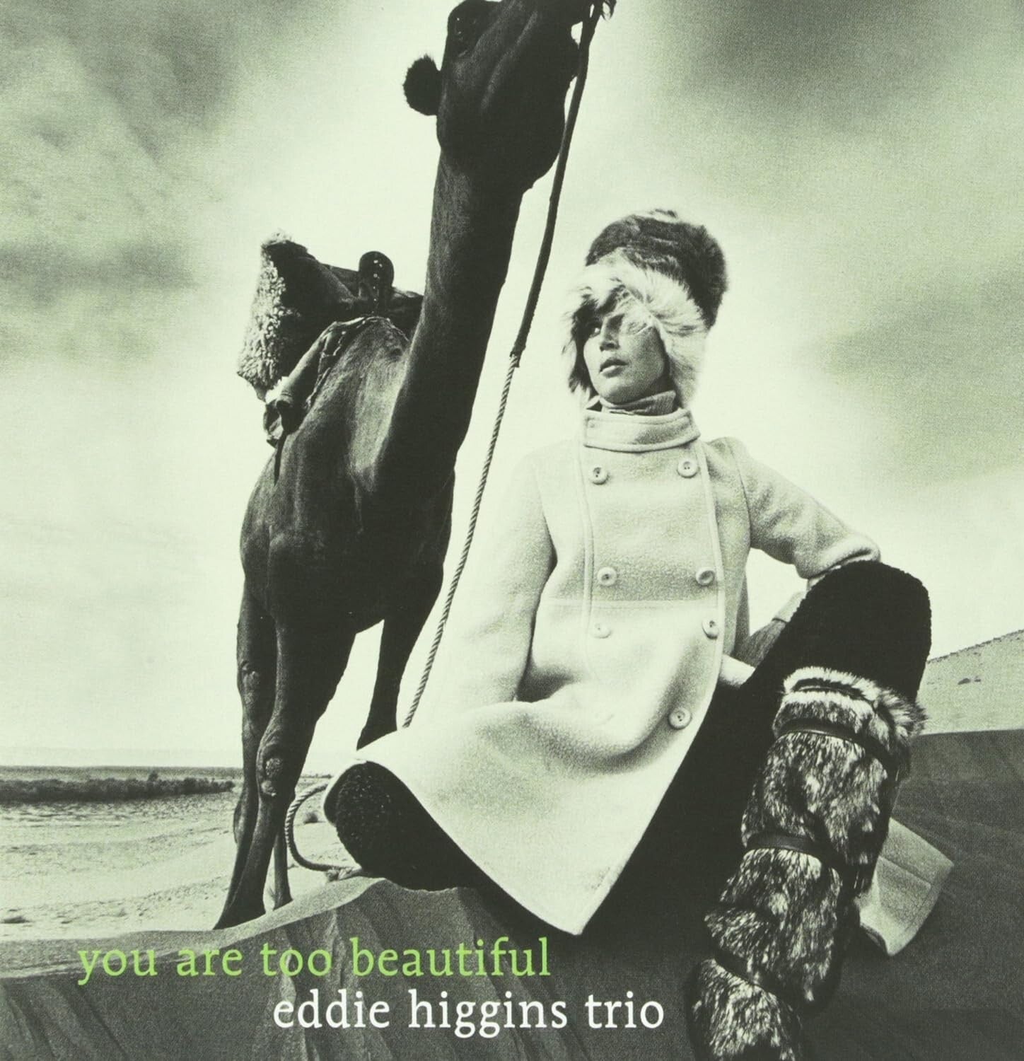 Eddie Higgins Trio CD You Are Too Beautiful Paper Sleeve Japan NEW