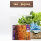 Prince Gold Experience Japan Blu-spec 2CD The Most Beautiful Girl in the World
