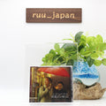 New Something in the Rain Original Soundtrack CD + DVD + Booklet From Japan new