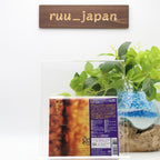 Prince Gold Experience Japan Blu-spec 2CD The Most Beautiful Girl in the World
