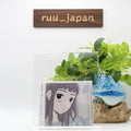 Uchu Nekoko / Kiminoyoni Ikiretara 2019 CD Japan Alternative NEW