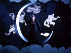 DVD New Ingmar Bergman - Magic Flute