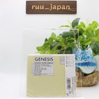 New GENESIS Selling England By The JAPAN CD VJCP-3211 OBI COOLPRICE reissue