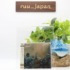 STEELY DAN KATY LIED JAPAN SHM CD From Japan NEW