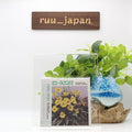 Green-House Six Songs for Invisible Gardens Japan Music CD Bonus track NEW