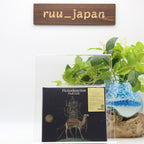 FictionJunction PARADE Limited Edition CD with Blu-ray Yuki Kajiura new