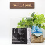 BUCK-TICK-AKU NO HANA-JAPAN CD NEW