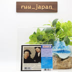 Mr. Mr. PULL (Limited Edition) Japan Music CD From Japan NEW