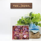 Shinsho Hokiuta Emban GRANBLUE FANTASY CD Japan SVWC-70669 New