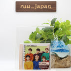 New NCT DREAM THE DREAM (Normal Edition) Japan Music CD