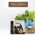 New CASUAL - T PRESCRIPTOONS FOR LOVE JAPAN MINI LP CD