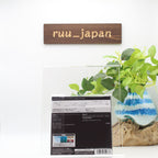 TANGERINE DREAM-RICHOCHET-JAPAN ONLY 2 Paper Sleeve BONUS TRACK SHM CD Ltd/Ed