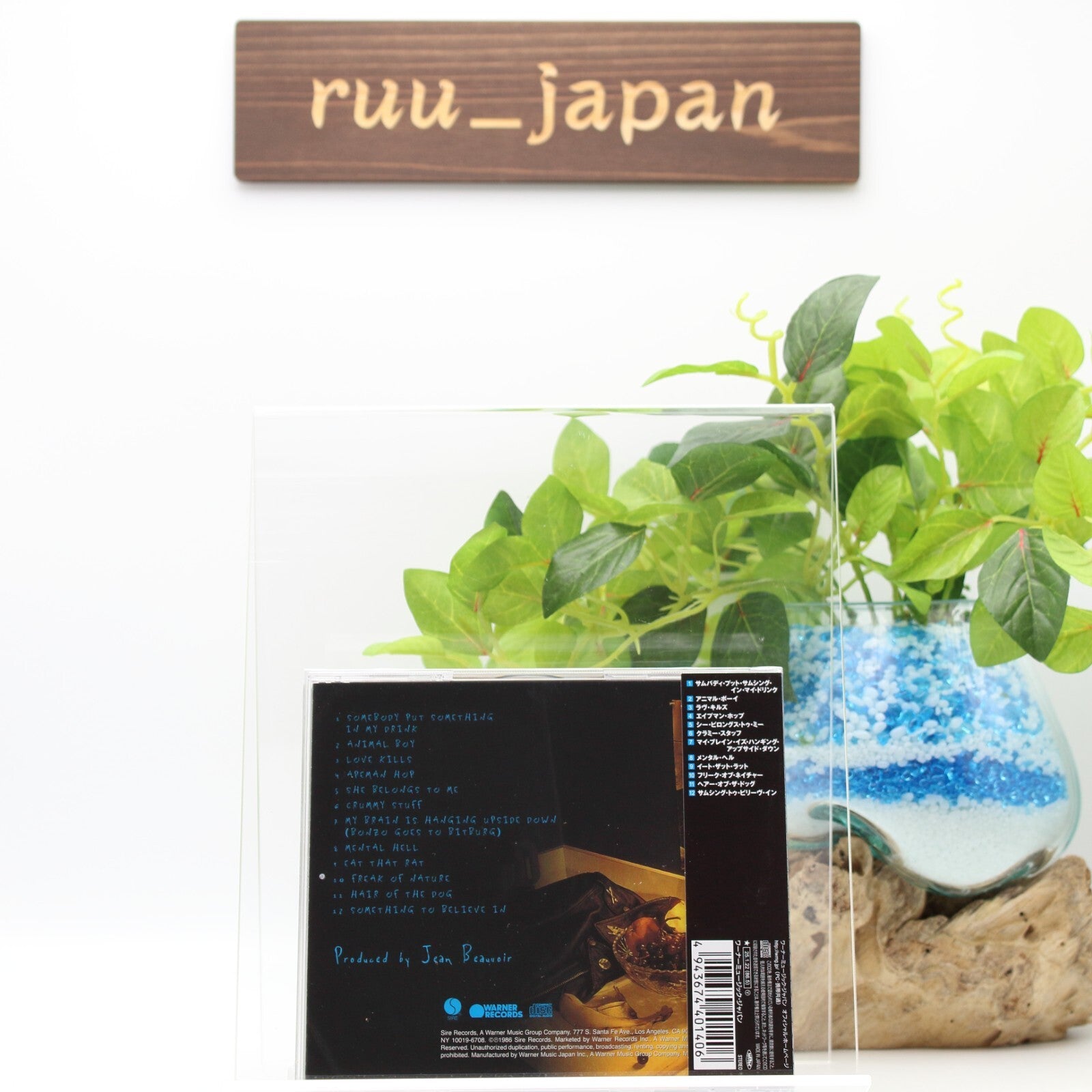 New RAMONES ANIMAL BOY 2025 JAPAN CD