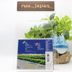 Tatsuro Yamashita COME ALONG 1 Japan Music CD NEW