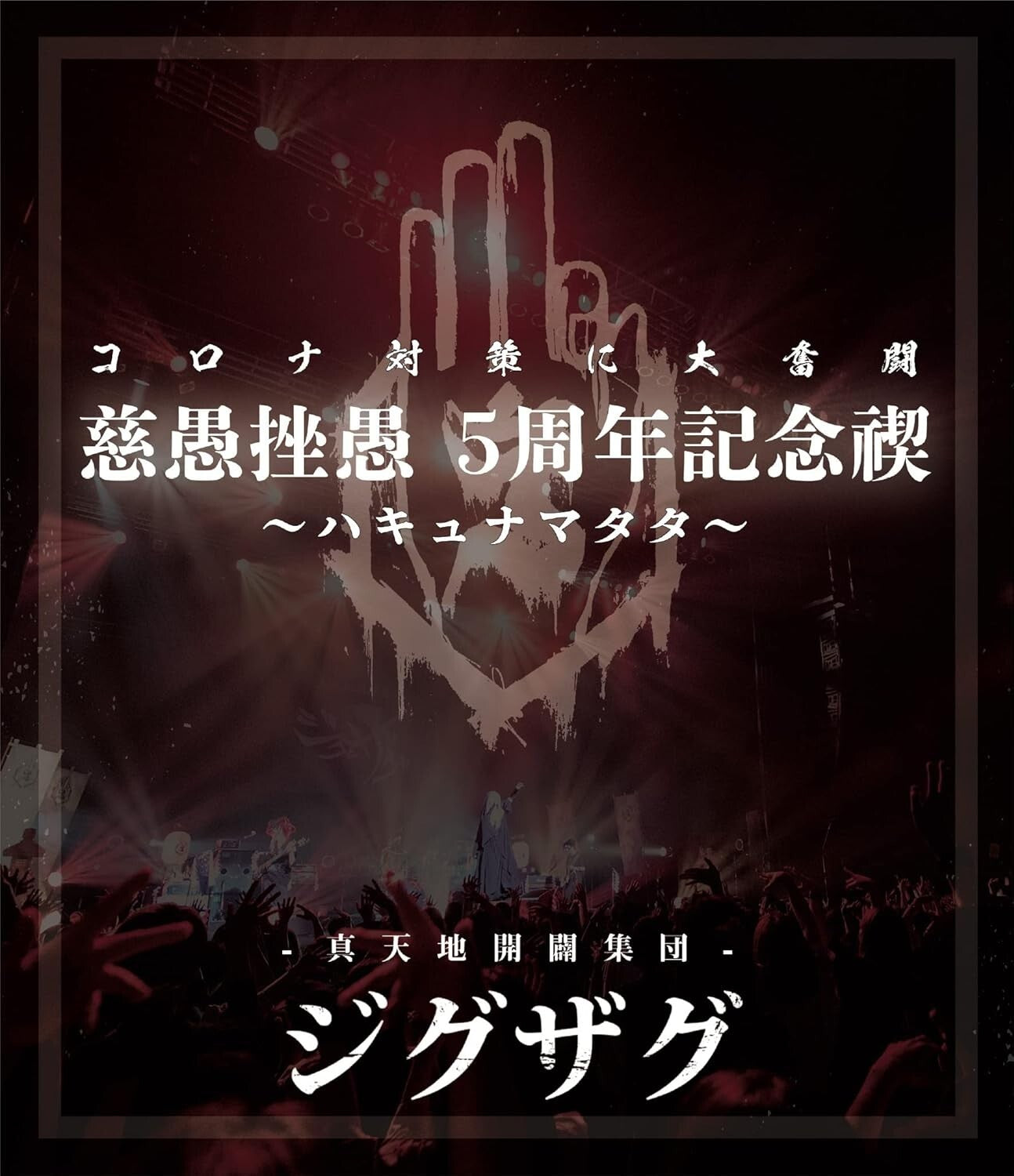 New Blu-ray Purification Video Collection Zigzag 5th Anniversary... Japanese