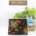 New Empress Departure CD 1st Full Album ZMR-36 4582486290367