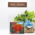 IMAGINE DRAGONS LOOM WITH 2 BONUS TRACKS ONLY in JAPAN EDITION CD New