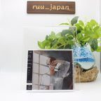 GIVEN Movie gift Standard Edition CD w/ Blu-ray ESCL-5423 OST From Japan NEW