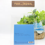 New Mei Ehara / Ampersands 2020 CD Paper Sleeve Japan