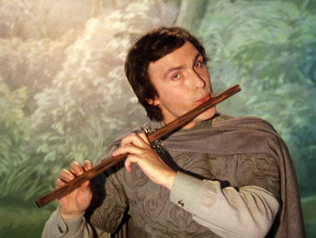 DVD New Ingmar Bergman - Magic Flute