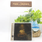IN THIS MOMENT-RITUAL-JAPAN CD BONUS TRACK New