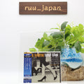 New Sonny Clark Cool Struttin SACD Hybrid Blue Note TOWER RECORDS JAPAN