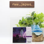 SUPER DB-ECOUTE CA-JAPAN CD New