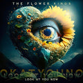 New FLOWER KINGS LOOK AT YOU NO 2023 JAPAN BLU-SPEC CD