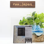 Bridges To Babylon SHM Paper Sleeve From Japan NEW