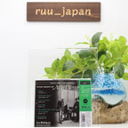 New TSUYOSHI YAMAMOTO TRIO-MISTY FOR DIRECT CUTTING (DSD)-CD BONUS TRACK Japan