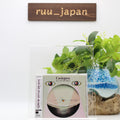 CASIOPEA EYES OF THE MIND ISSEI NORO JAPAN CD NEW