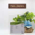 CINDERELLA JAPAN NIGHT SONGS TOUR 1987 JAPAN CD NEW