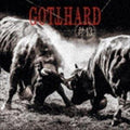 New 2020 GOTTHARD #13 with Bonus Tracks  JAPAN CD