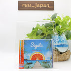 CD Sigala -Brighter Days- from Japan New